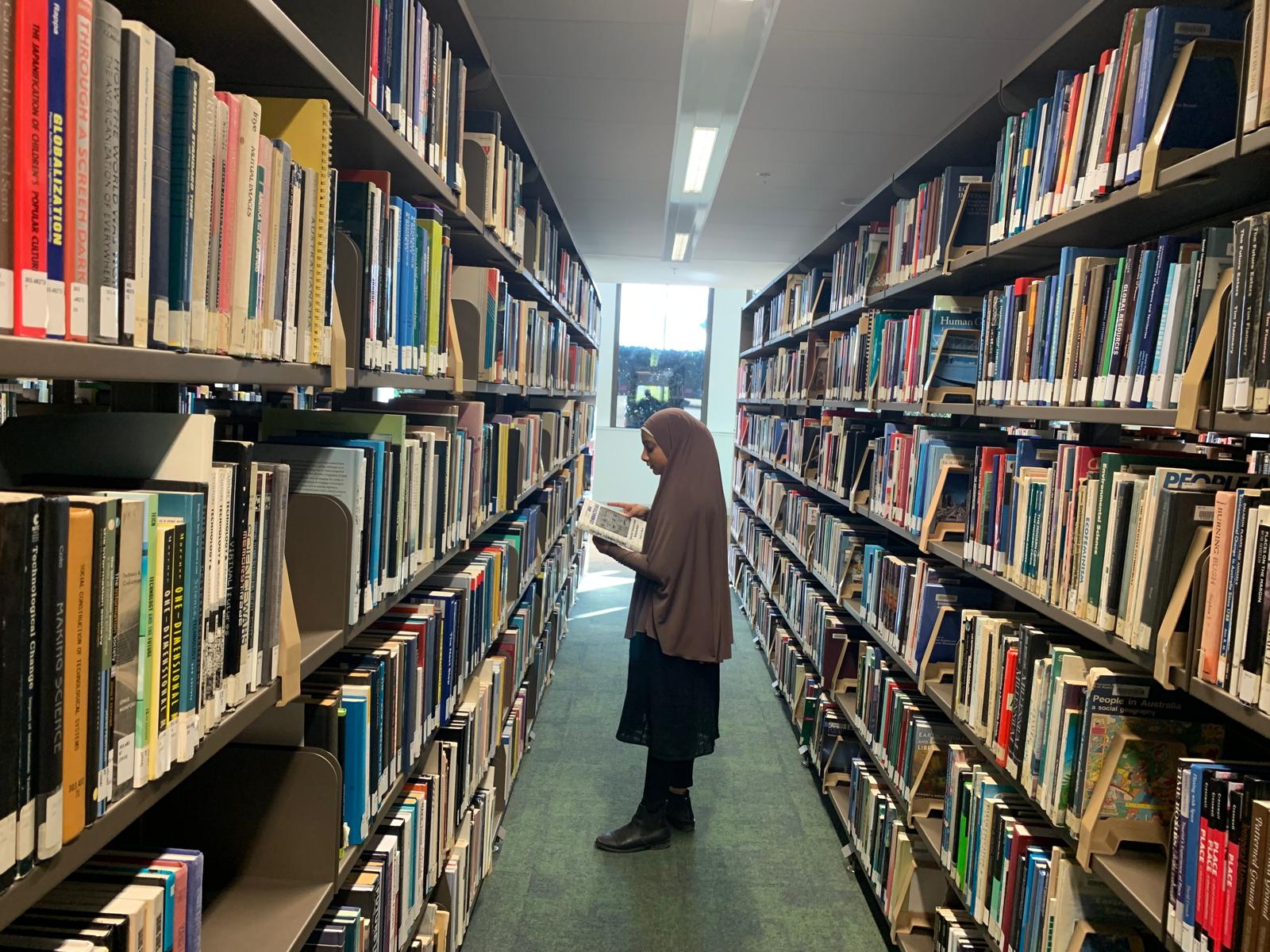 Date Palm Tree Library
